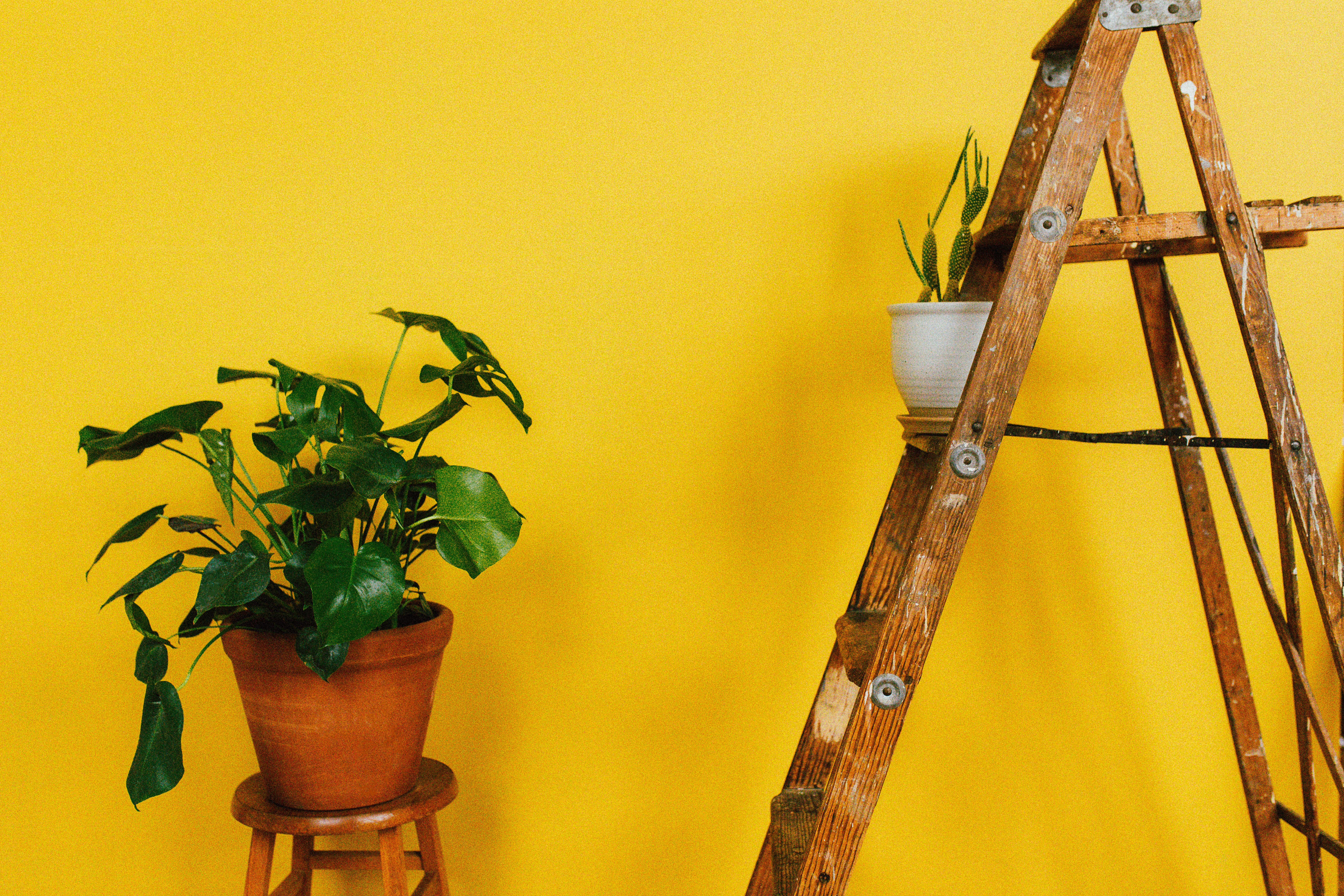 brown wooden A-frame ladder